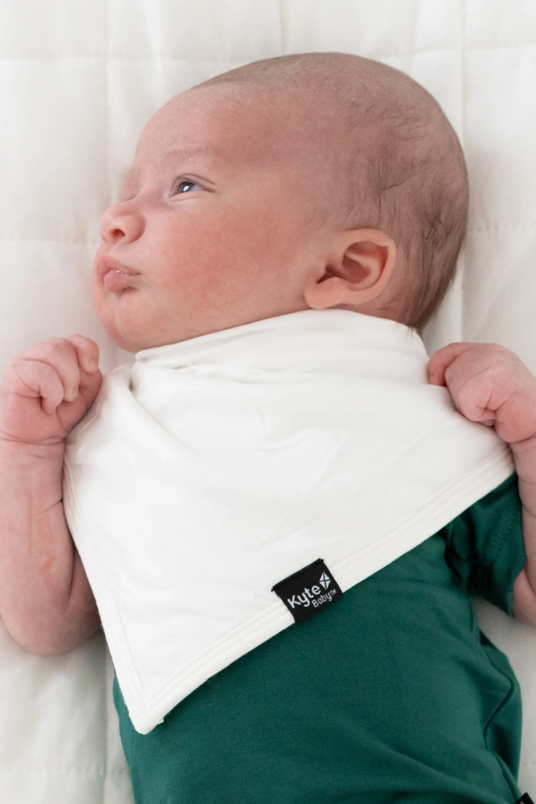 Bib in Cloud