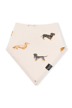 Bib in Dachshund