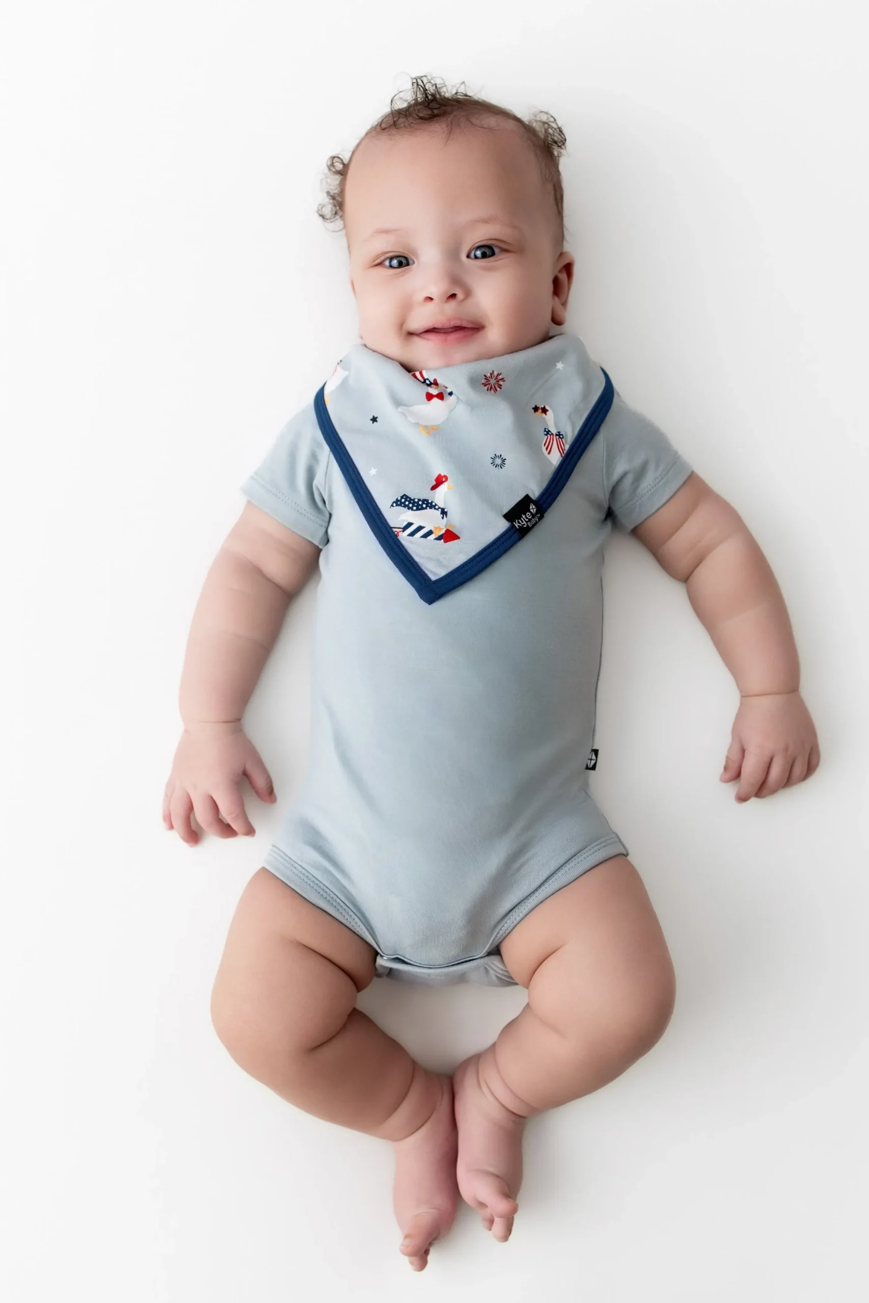 Bib in Patriotic Goose