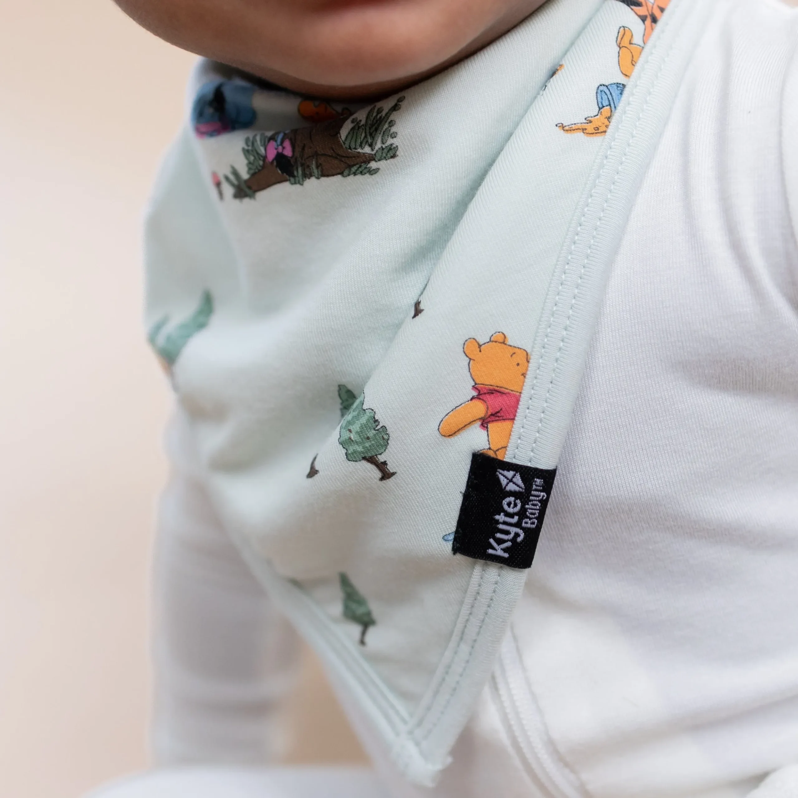 Bib in Winnie the Pooh Hundred Acre Wood