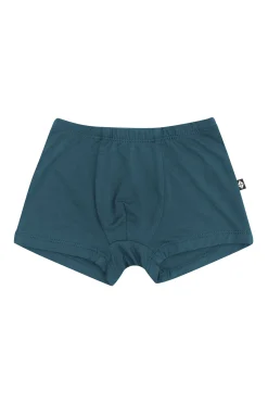 Briefs in Atlantic