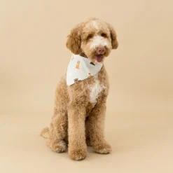 Dog Bandana in Fluffy Dog
