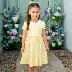 Peter Pan Collar Dress in Gingham Chamomile