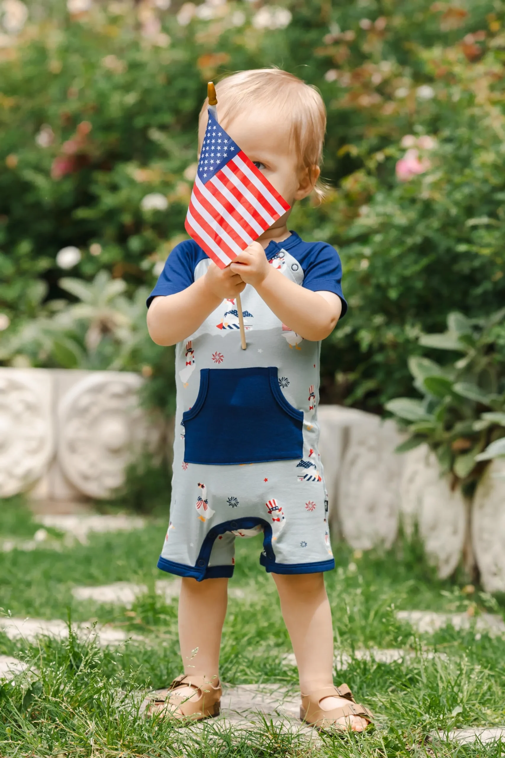Shortall in Patriotic Goose