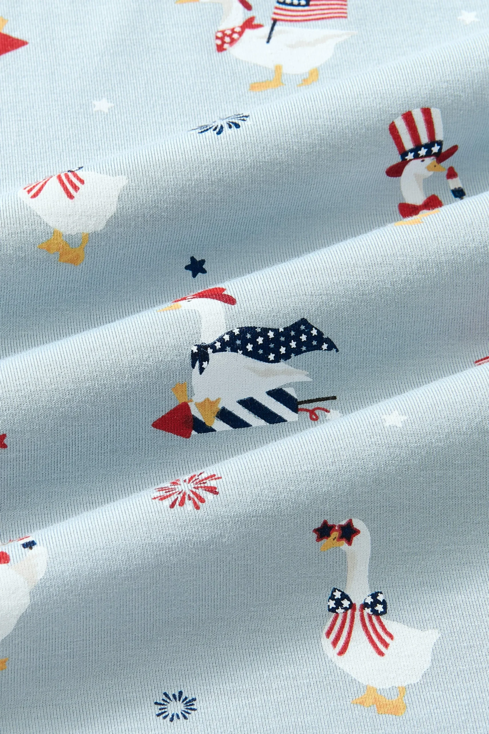Shortall in Patriotic Goose