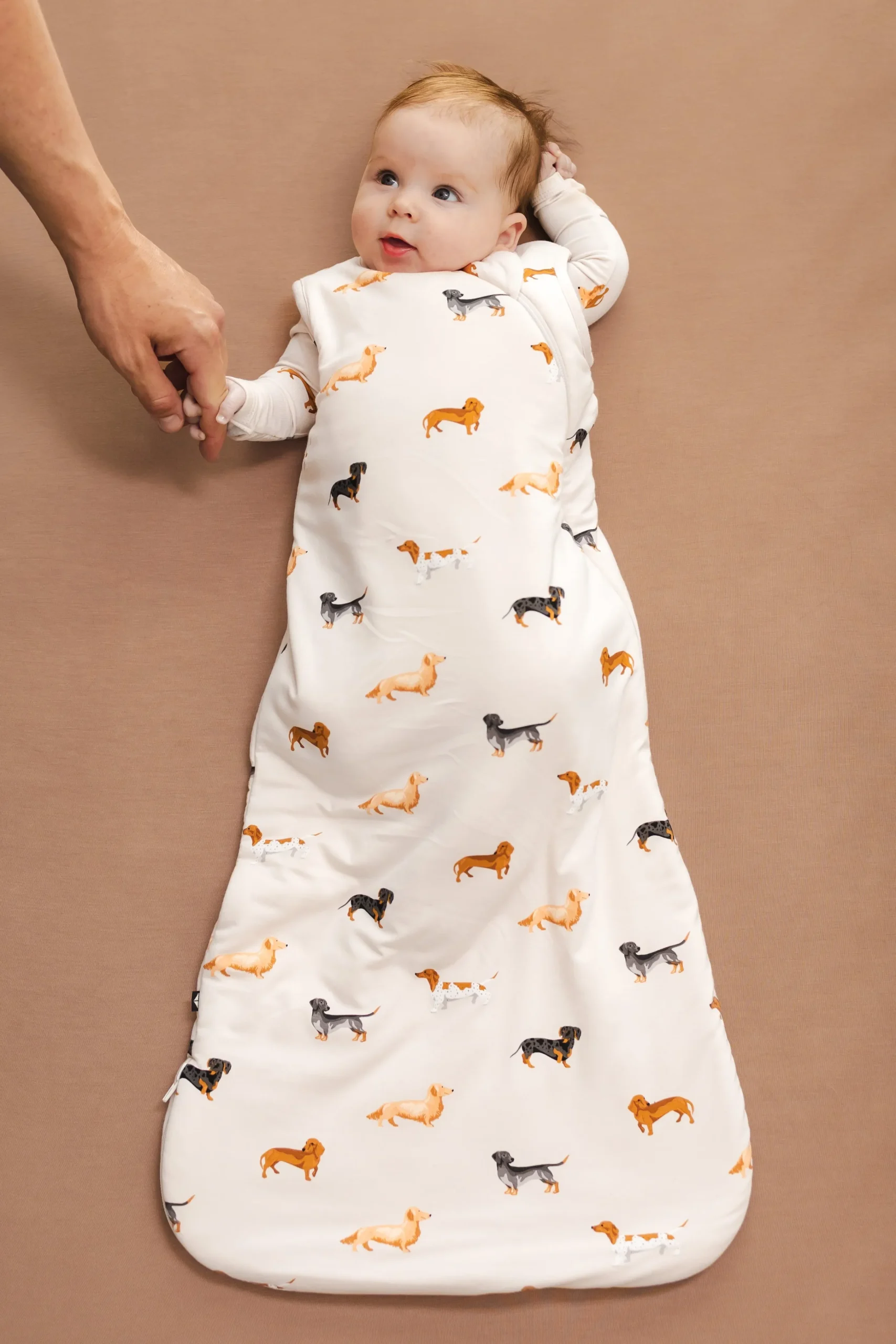 Sleep Bag in Dachshund 1.0