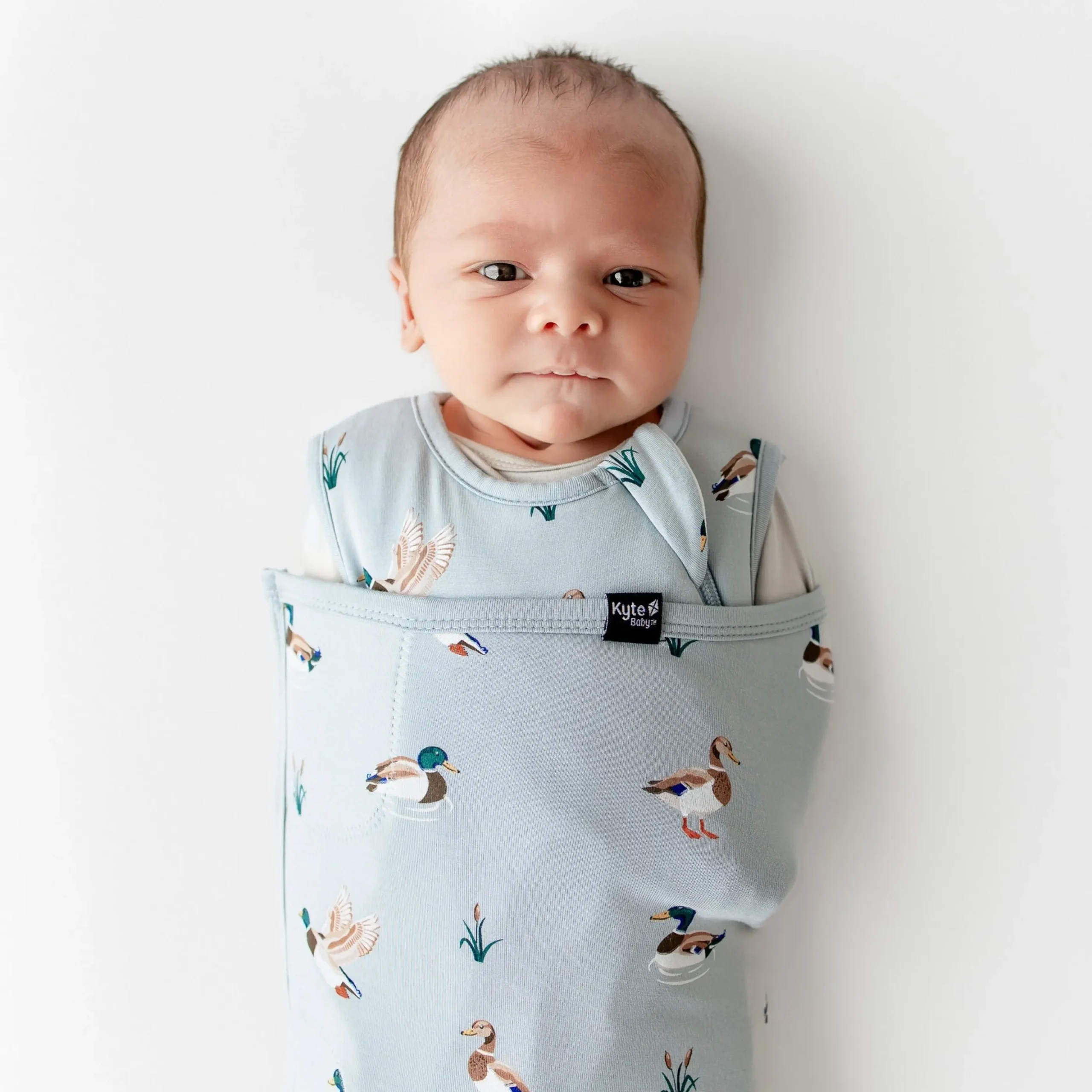 Sleep Bag Swaddler in Mallard Duck 1.0