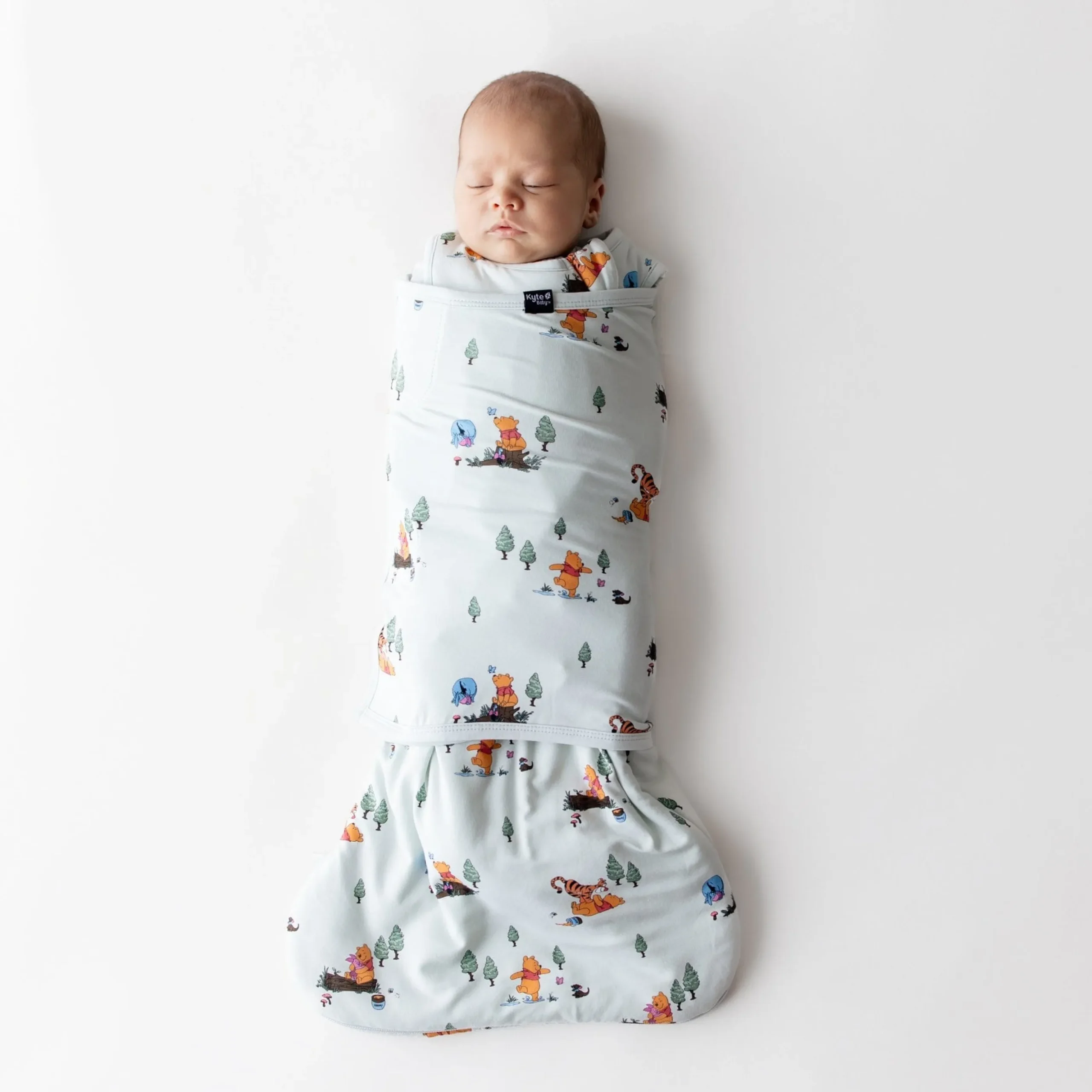 Sleep Bag Swaddler in Winnie the Pooh Hundred Acre Wood 1.0