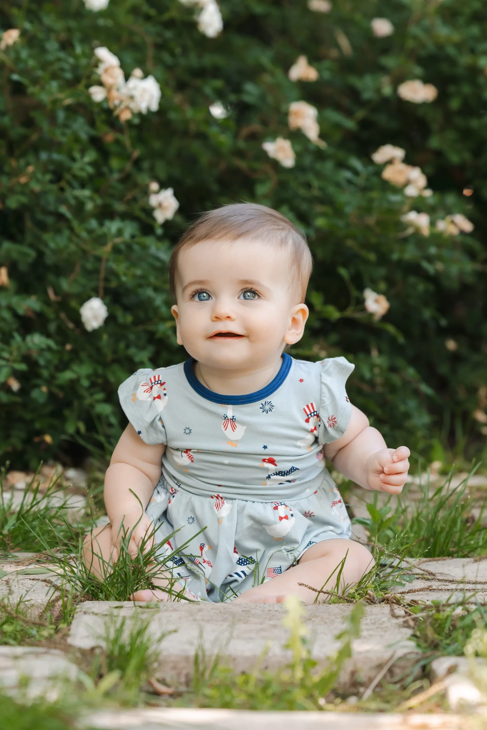 Twirl Bodysuit Dress in Patriotic Goose