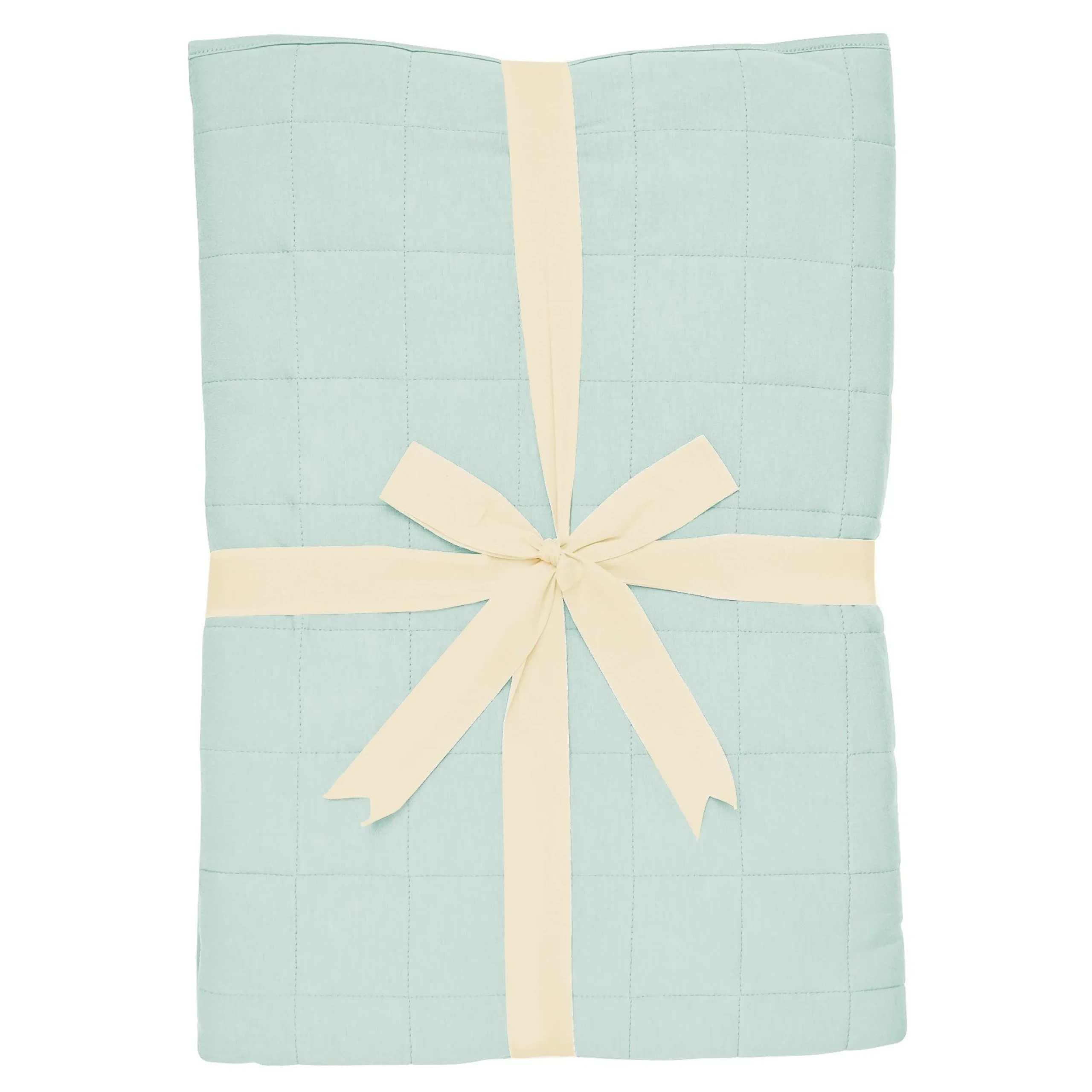 Youth Blanket in Sage 2.5