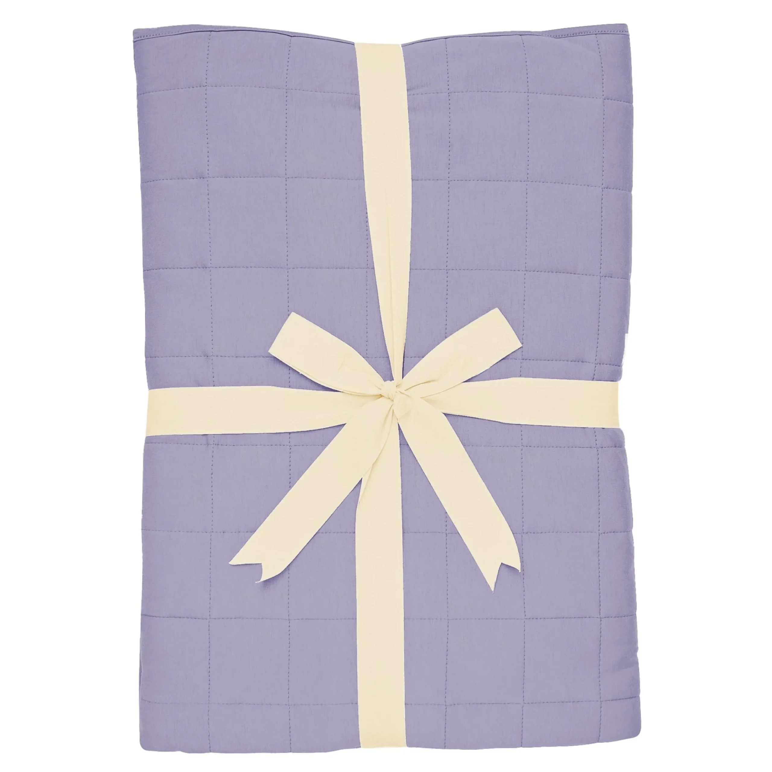 Youth Blanket in Taro 1.0
